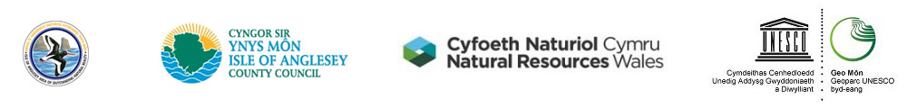 ahne_cystadleuaeth_logo